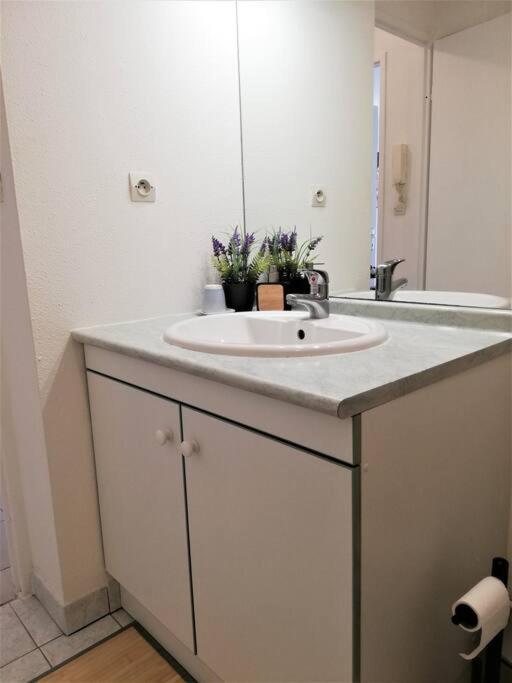 טולוז Studio Charmant Et Moderne Grand Confort מראה חיצוני תמונה